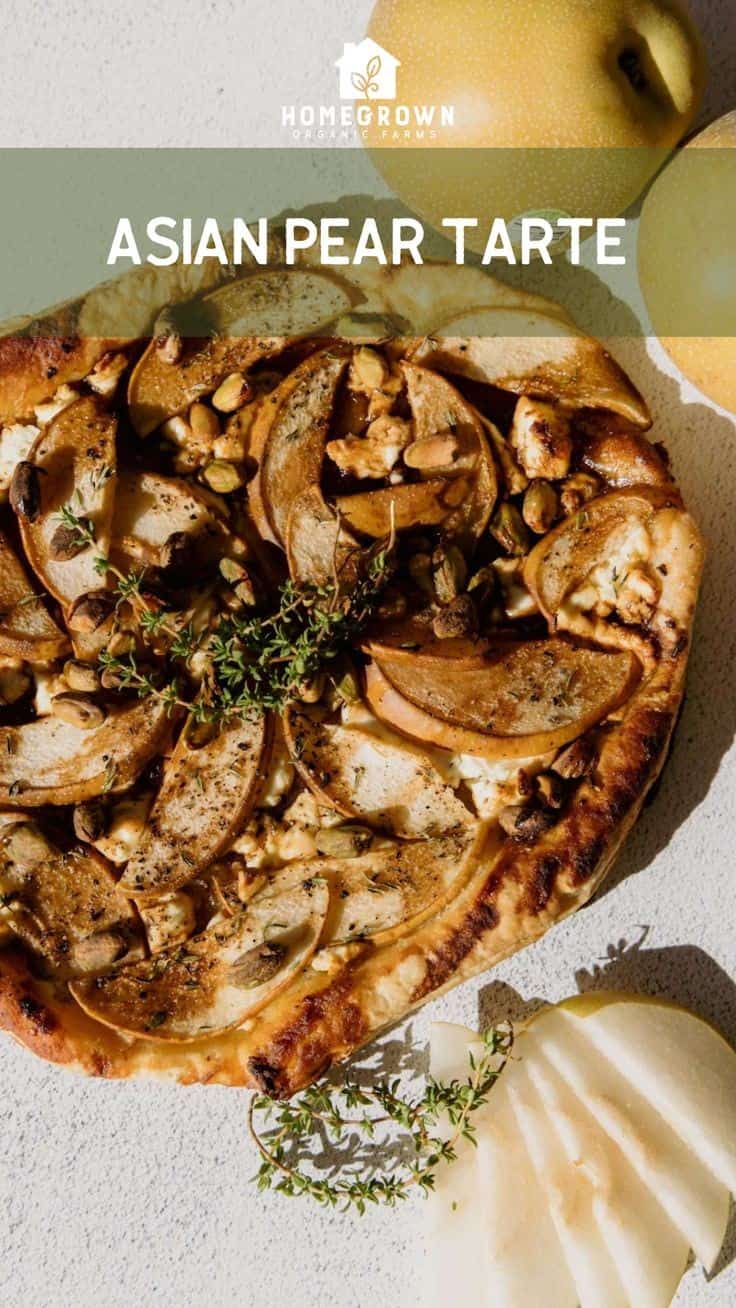 Savory Asian Pear Tarte