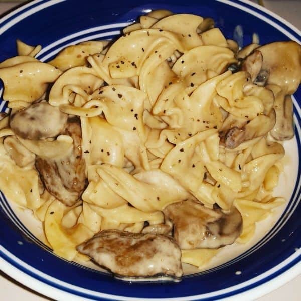 Brined Wild Goose Stroganoff