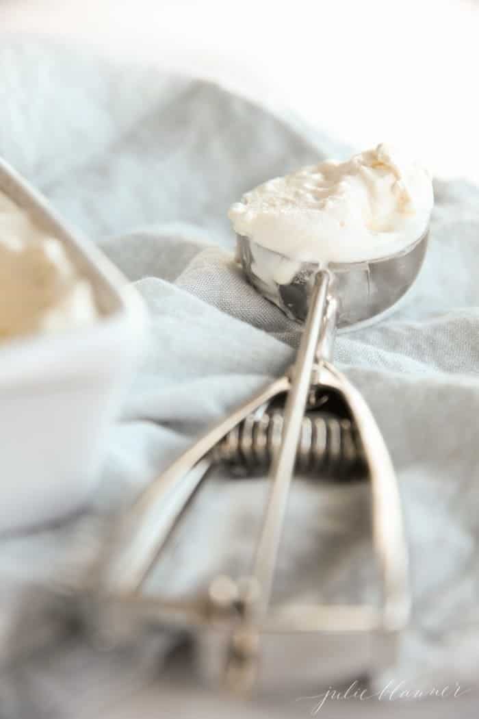 2 Ingredient No Churn Vanilla Ice Cream Recipe