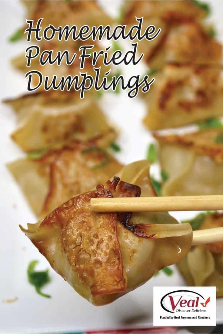 Pan Fried Dumplings