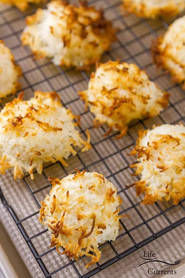 2 Ingredient Coconut Macaroons