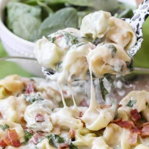 Bacon Tortellini Alfredo