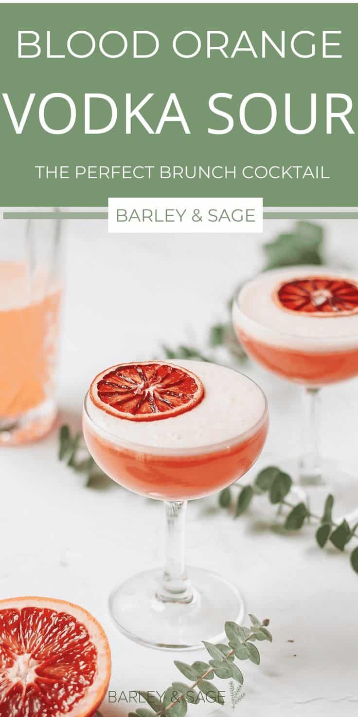 Blood Orange Vodka Sour