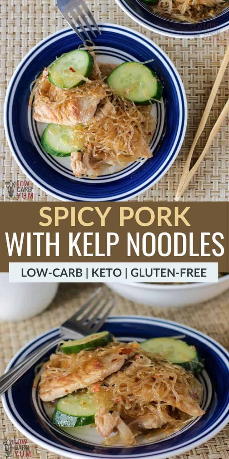 Spicy Pork With Kelp Noodles