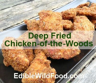 Deep Fried Chicken Of The Woods