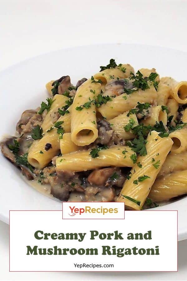 Creamy Pork And Mushroom Rigatoni