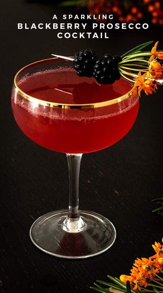 Sparkling Blackberry Cocktail With Rosemary & Citrus