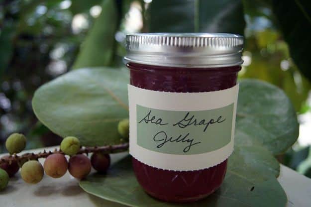 Sea Grape Jelly