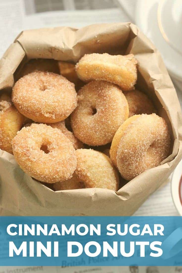 Baked Cinnamon Sugar Mini Donuts