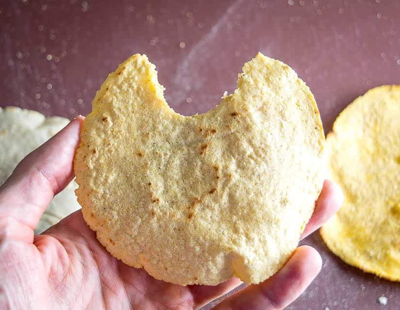 Homemade Corn Tortillas