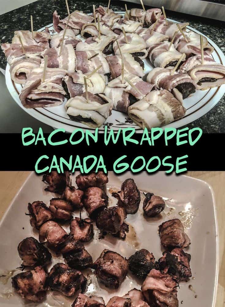 Bacon Wrapped Canada Goose