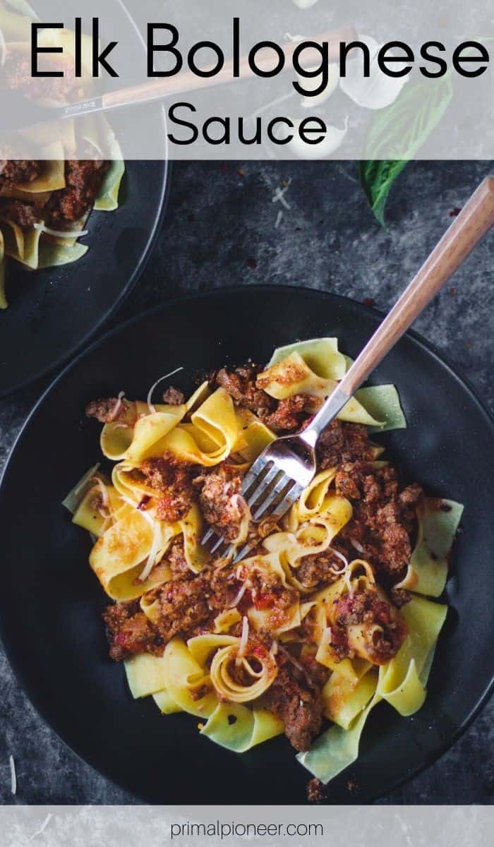 Elk Bolognese Sauce