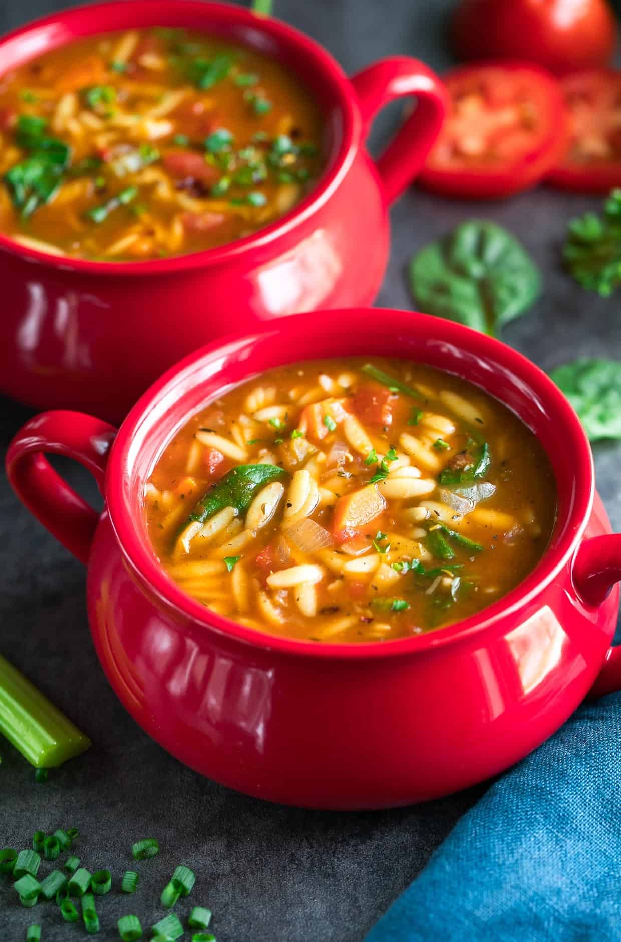 Orzo Vegetable Soup