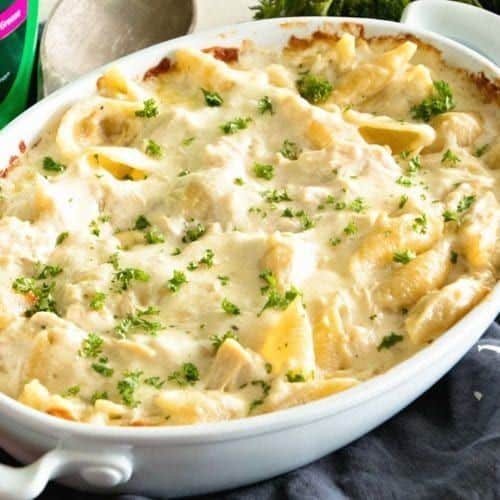 Chicken Broccoli Alfredo Stuffed Shells