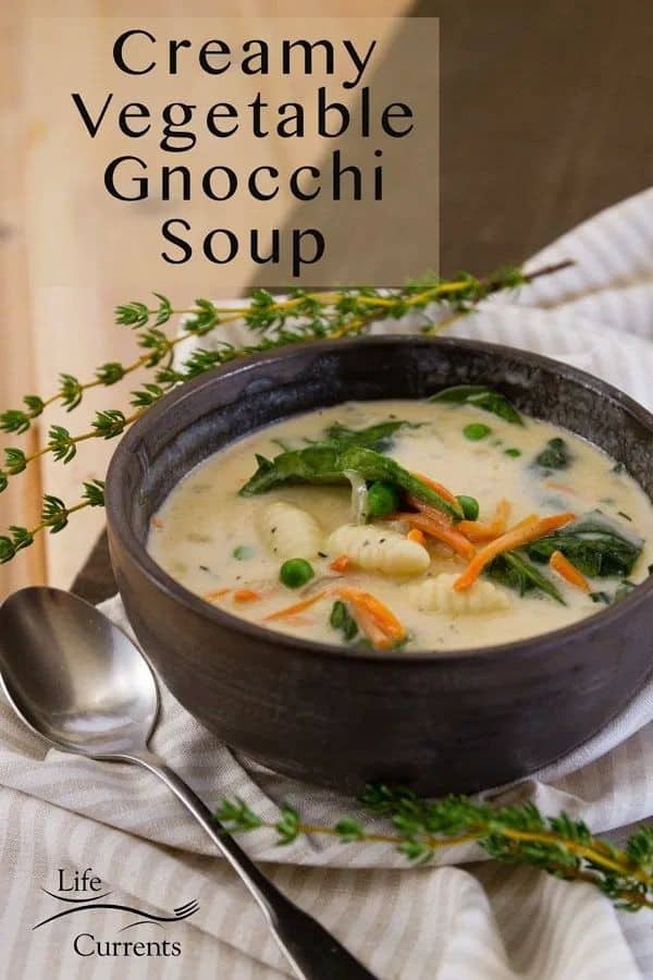 Creamy Vegetable Gnocchi Soup