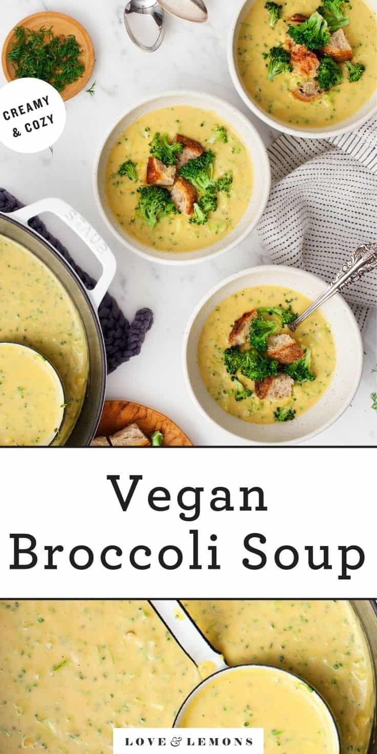 Vegan Broccoli Soup