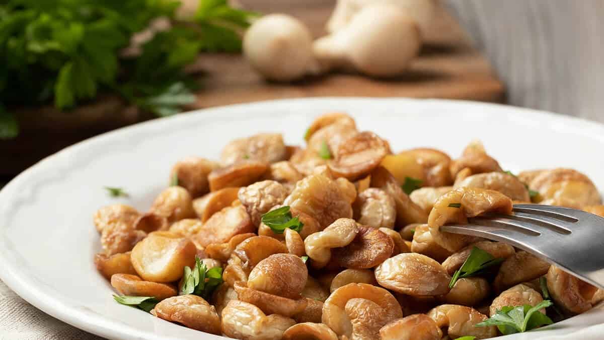 Fresh Puffball Mushroom Ragu