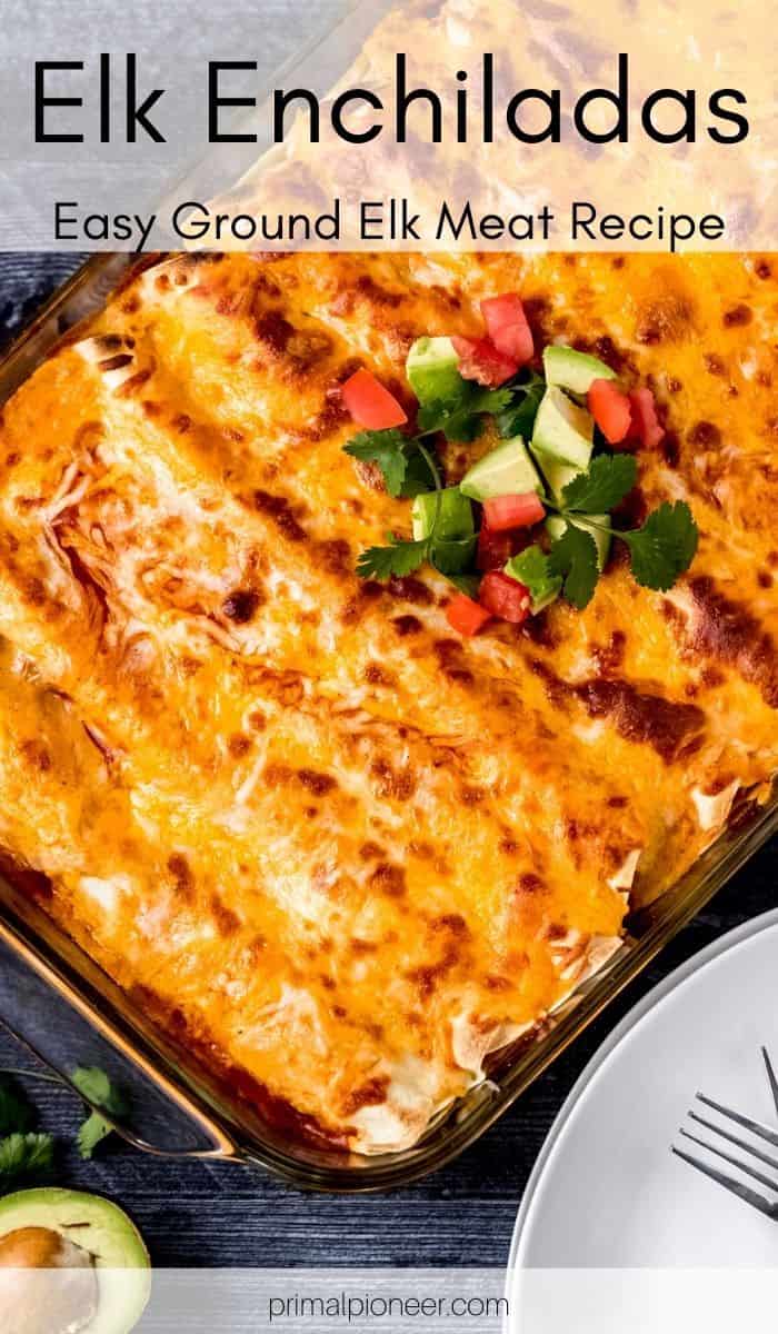 Easy Elk Enchiladas