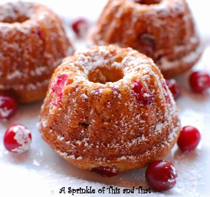 Mini Cranberry Bundt Cakes