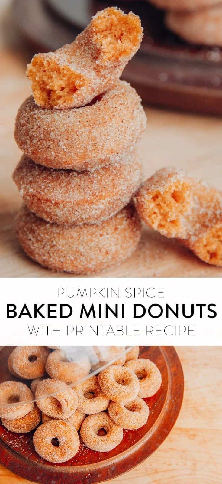 Pumpkin Spice Mini Donut