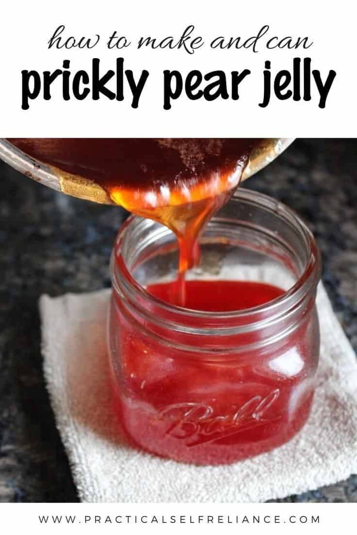 Prickly Pear Cactus Jelly