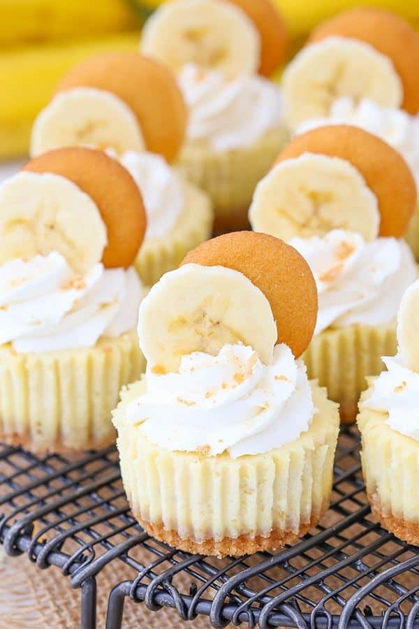 Mini Carrot Cheesecakes