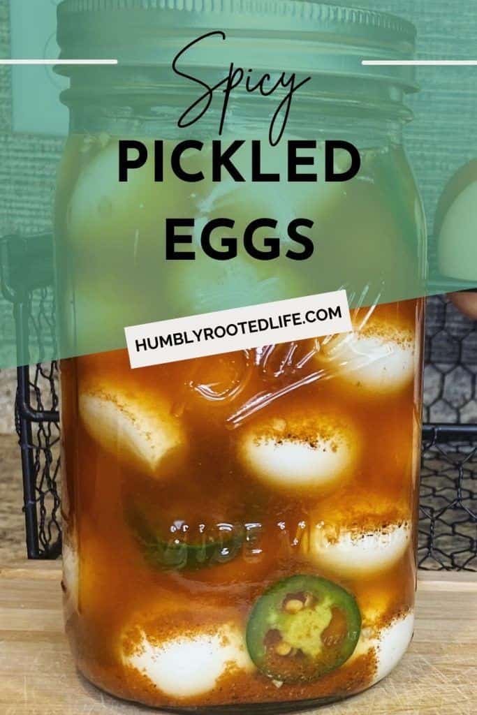 Easy Spicy Pickled Quail Egg