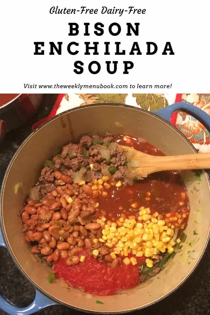 Bison Enchilada Soup