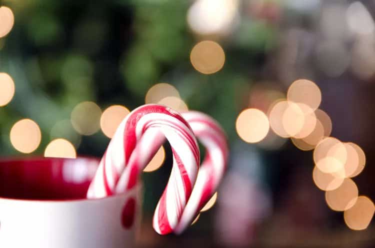 Candy Canes