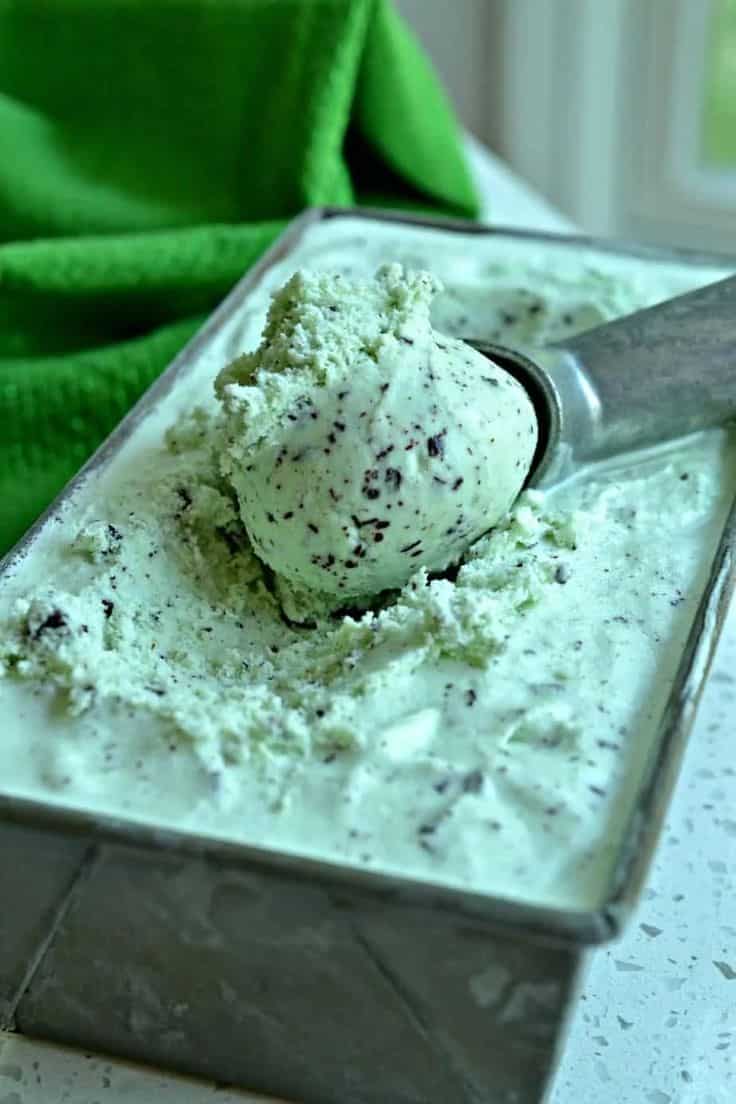 Mint Chocolate Chip Ice Cream