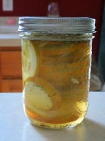 Pickled Lemon Cucumber Slices