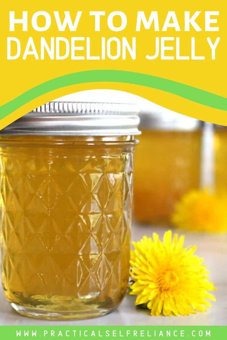 Dandelion Jelly