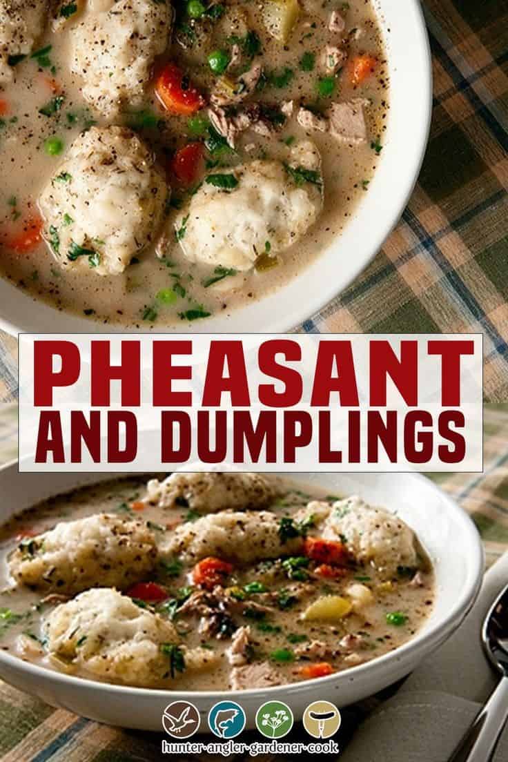 Pheasant And Dumplings