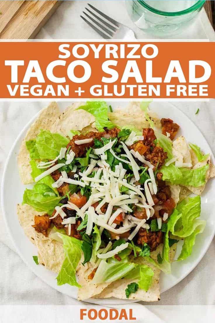 Vegan Soyrizo Taco Salad