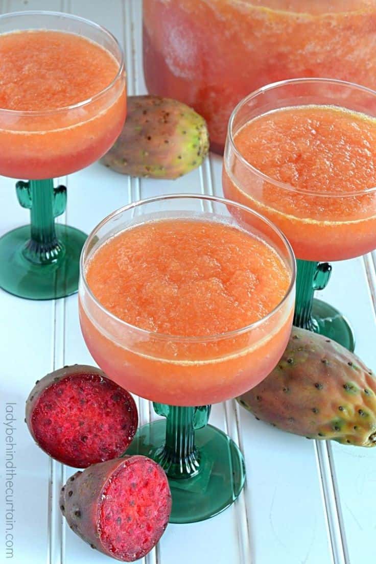 Sparkling Prickly Pear Cactus Slush Punch