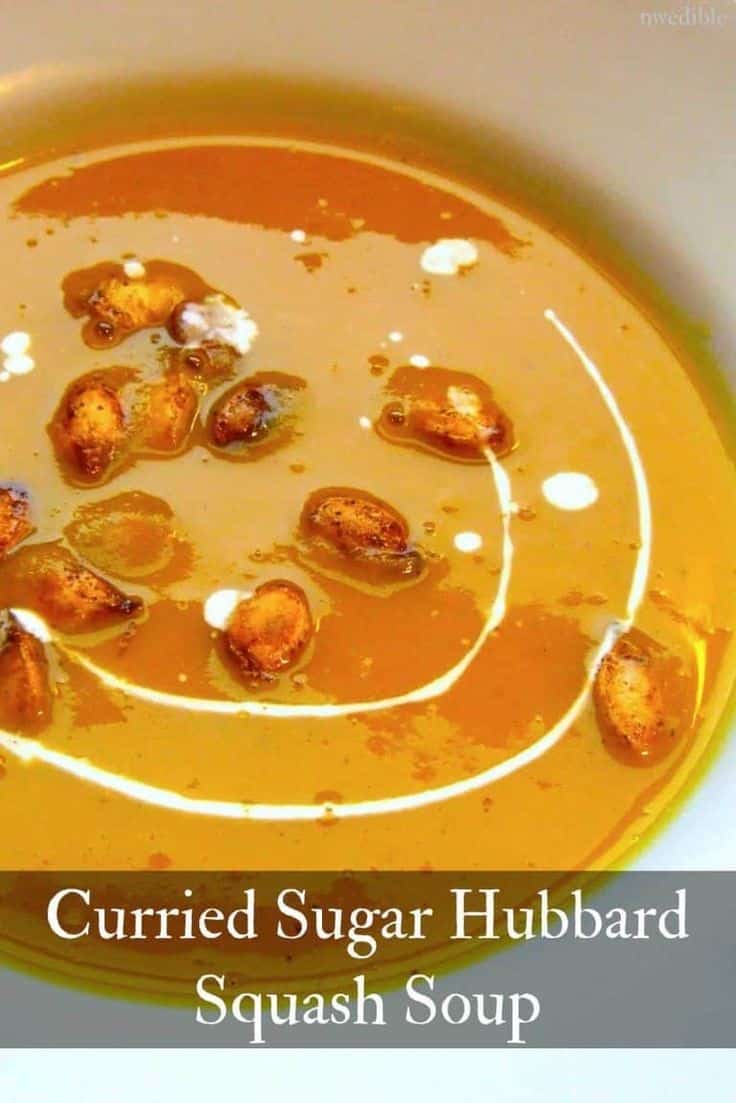 Curried Sugar Hubbard Squash Soup