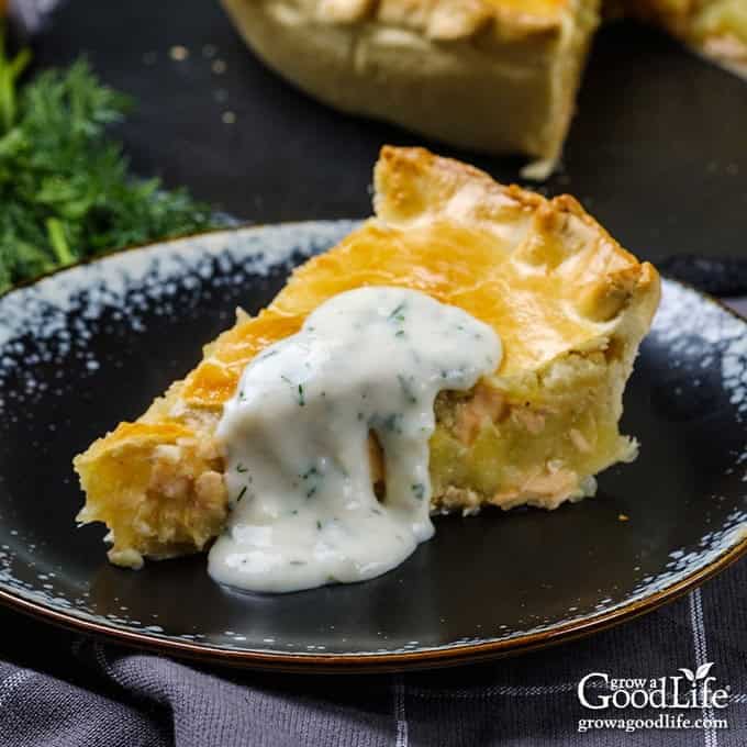 French-Canadian Salmon Pie