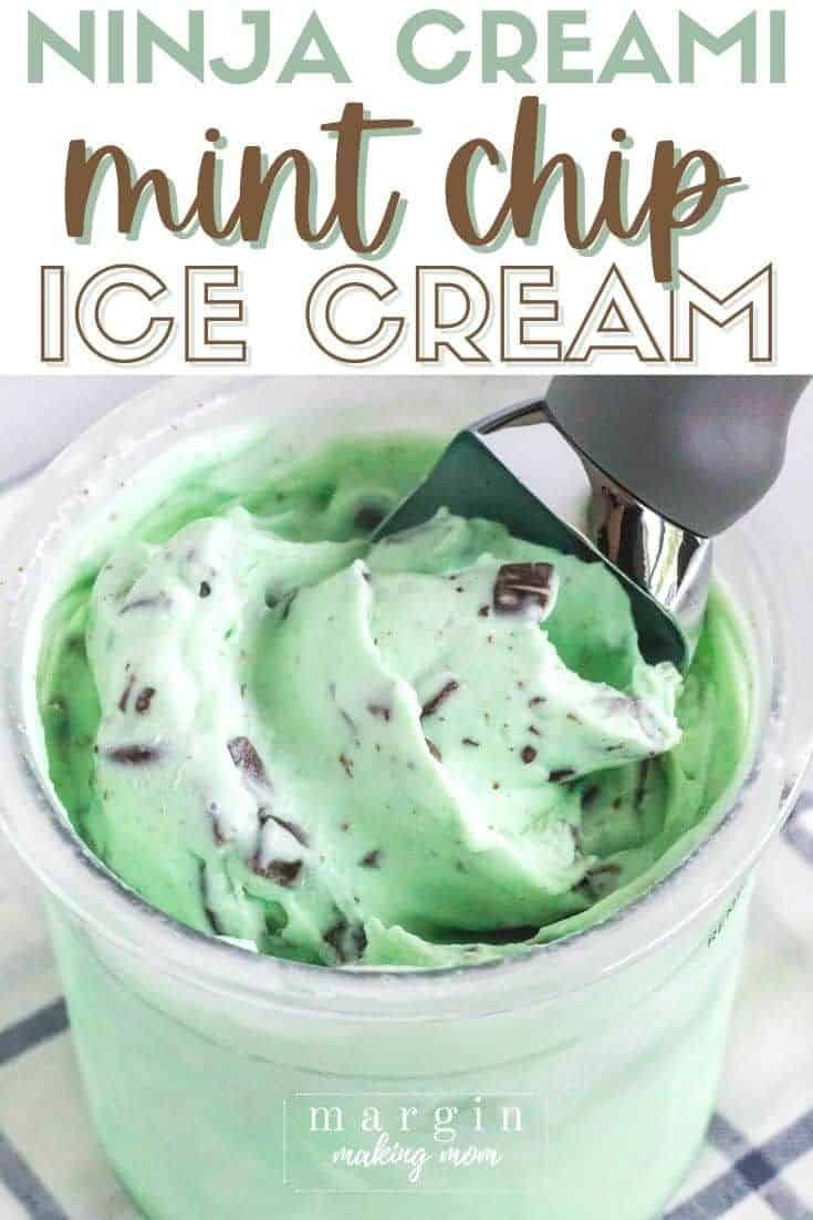 Mint Chocolate Chip Ice Cream