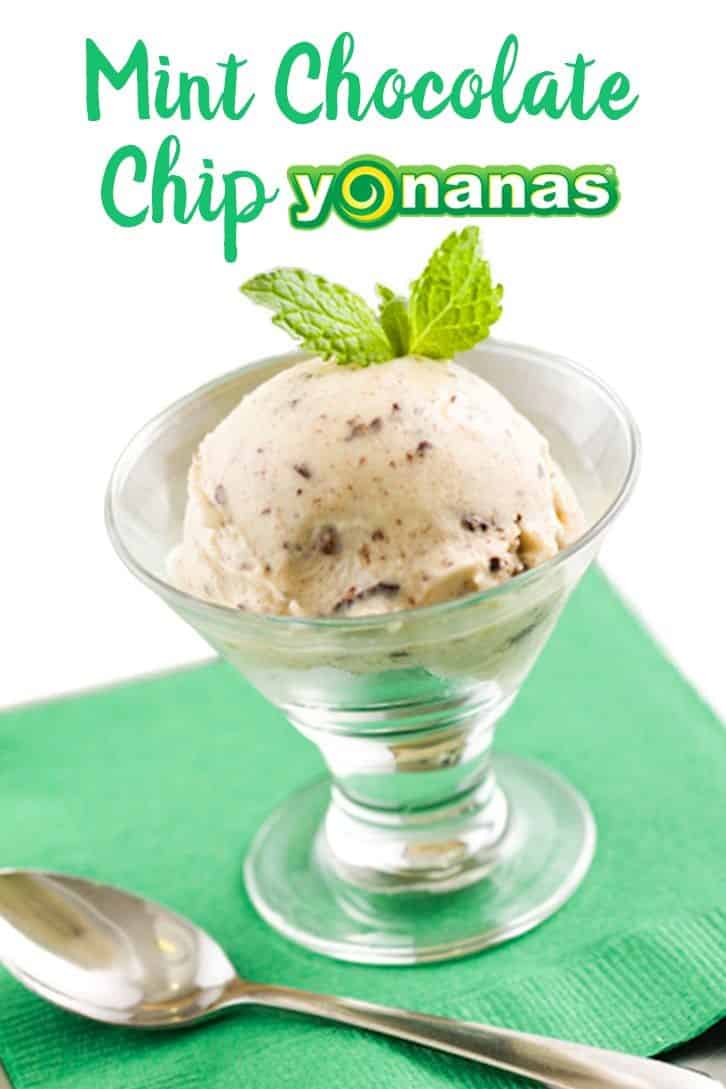 Mint Chocolate Chip Yonanas