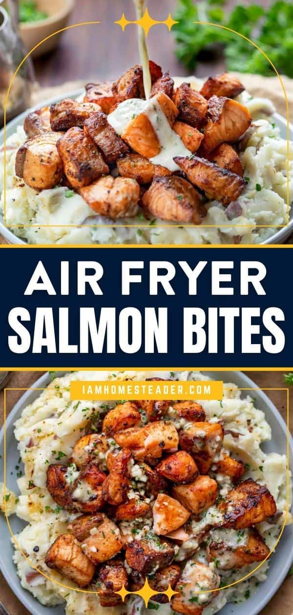 Air Fryer Salmon Bites With Garlic Cream Sauce