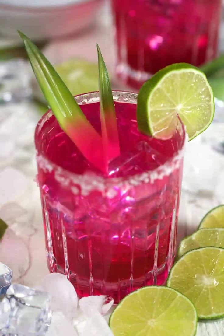 Prickly Pear Margarita